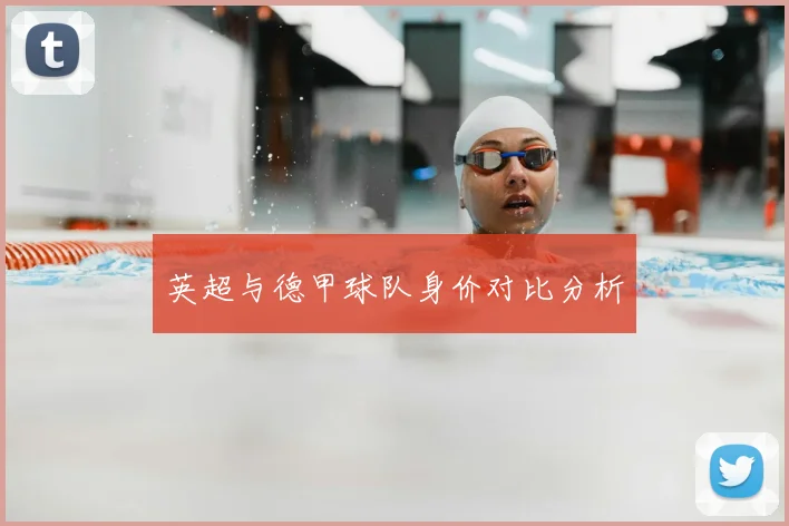 英超与德甲球队身价对比分析