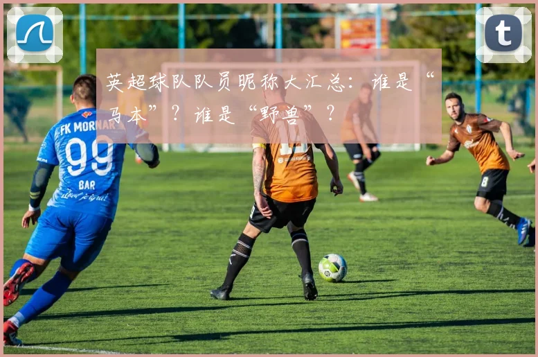 英超球队队员昵称大汇总:谁是“马本”?谁是“野兽”?